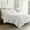 Bright White, variant on Levtex Home - Cloud Waffle Quilt Set - Full/Queen Quilt and Two Standard Shams - Waffle Textured - Bright White - Quilt (88x92in.) and Shams (20x26in.) - Reversible - Cotton