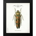 thumbnail image 2 of Babbitt, Gwendolyn 20x24 Black Modern Framed Museum Art Print Titled - Beetle III, 2 of 5
