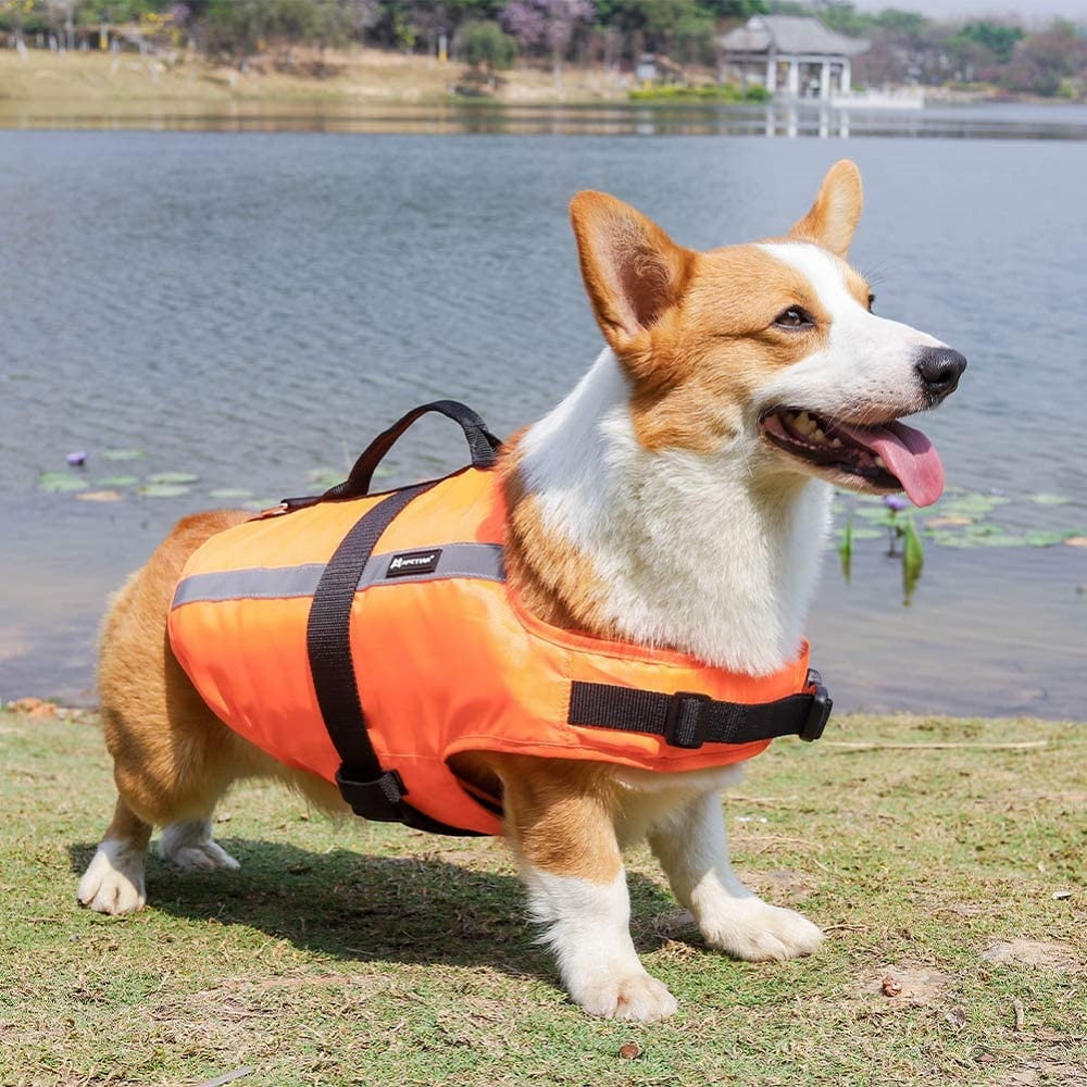 XXS-XXL Dog Life Vest Summer Printed Pet Life Jacket Dog Safety Clothes Dogs  Swimwear Pets