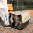 thumbnail image 5 of Jaula grande para perros y gatos, para coche, para envíos de mascotas, jaula para gatos pequeños y medianos, caja de aire portátil para envíos de salida, 5 of 5
