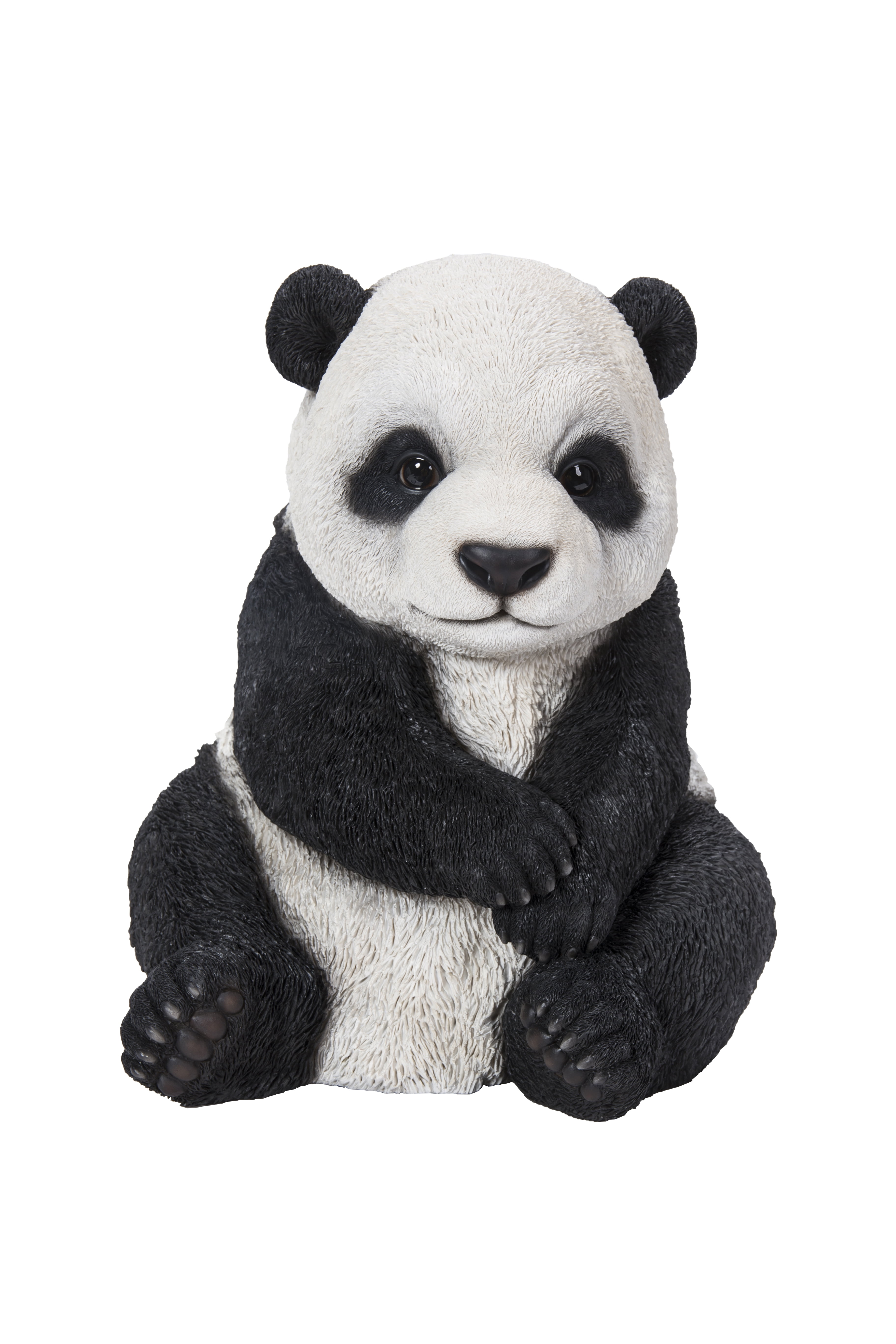 SMALL PANDA CUB SITTING