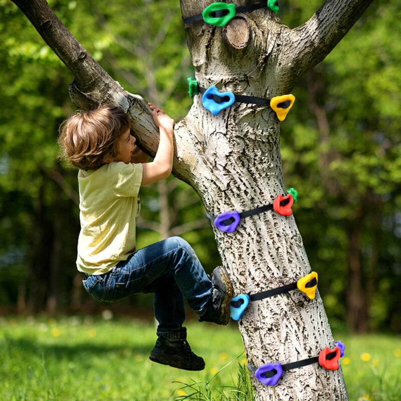 Sekkvy 12 Rock Climbing Holds for Tree with 6 Ratchet Straps,Indoor And