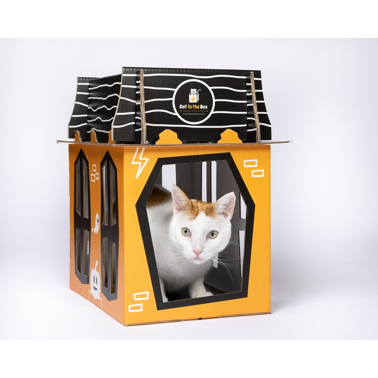 Spooky Cat Haunted House Cardboard Box Playhouse for Cats