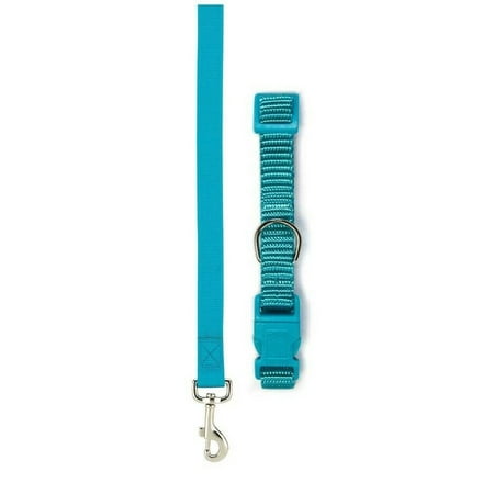 Nylon Solid Color Dog Collar and Lead 2 Piece Sets Durable Adjustable Selections (Bluebird Small)