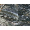 thumbnail image 3 of Ambesonne Tiger Quilted Coverlet 3 Pcs, Exotic Wildlife Nature, Queen Size, Multicolor, 3 of 4