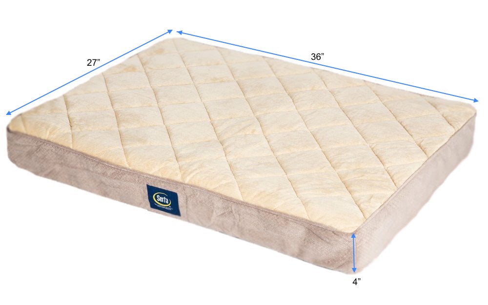 serta ortho foam quilted pillowtop pet bed