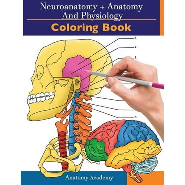 Pre-Owned Anatomy and Physiology Coloring Book: Incredibly Detailed