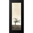 thumbnail image 2 of Blaustein, Alan 9x18 Black Modern Framed Museum Art Print Titled - Cherry Blossom Tree, 2 of 5