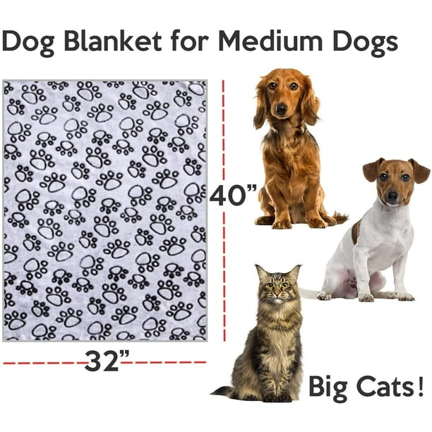Couverture imperméable pour chien, couverture anti-urine pour canapé-lit,  chiots