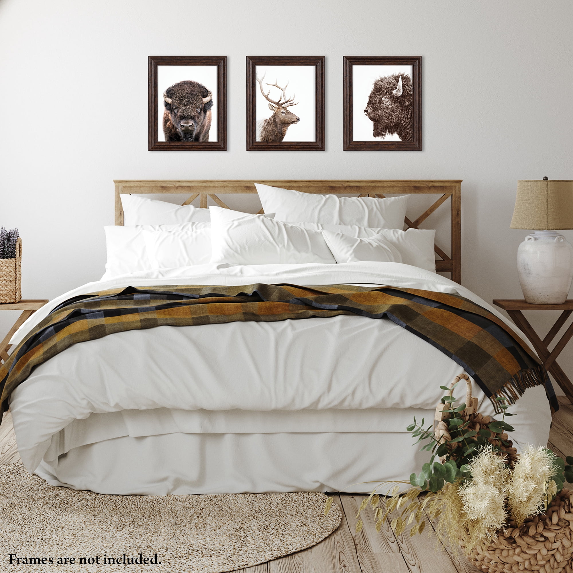 (2 pack) DesignOvation Forest Animals Unframed Art Prints 8” x 10” Set of 3 by Amy Peterson