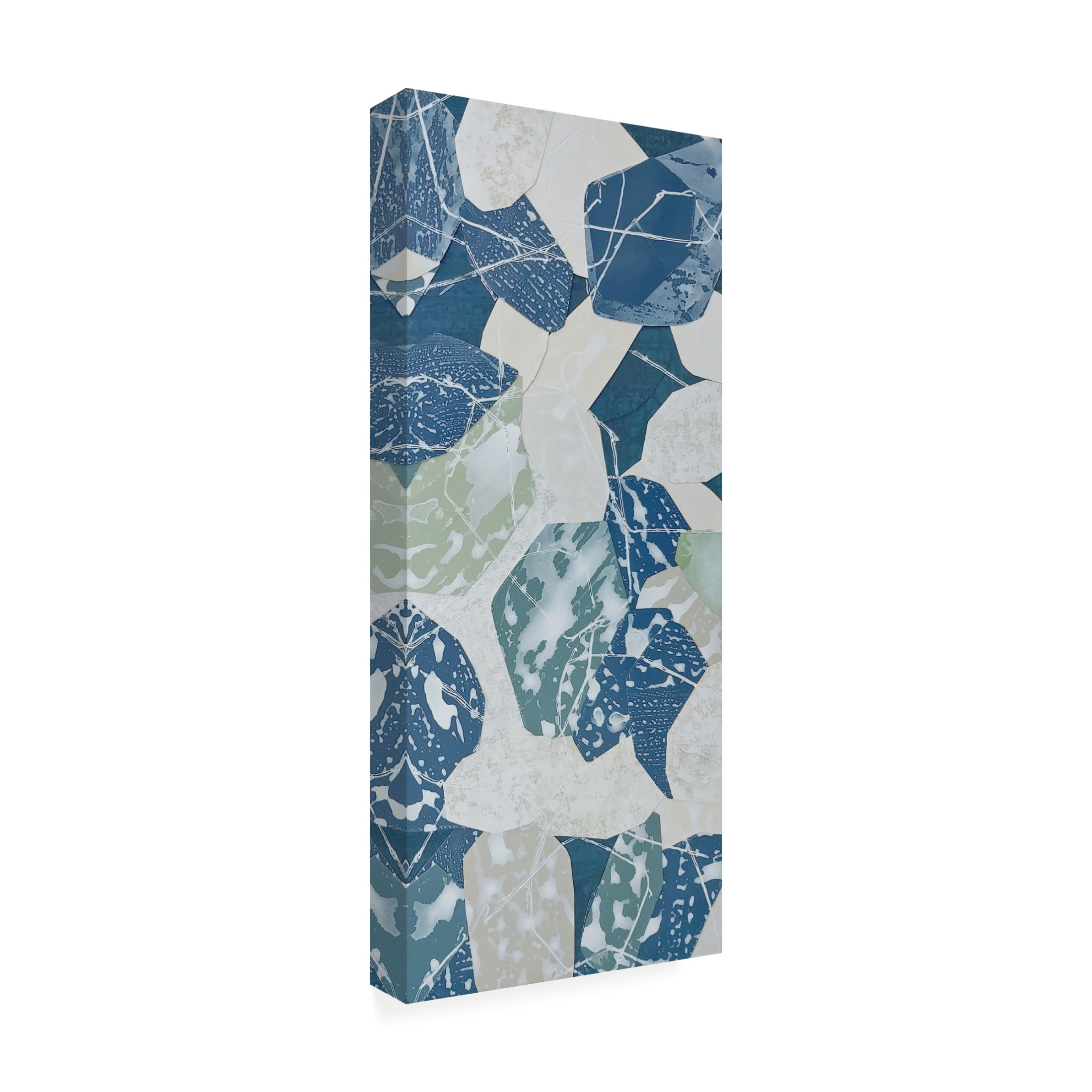 Trademark Fine Art Coco Good Tucson Gem Show I Canvas Wall Art