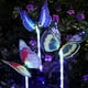 thumbnail image 4 of Luces solares de mariposa decorativas para exteriores, luces LED multicolor alimentadas por energía solar para jardín, patio, fácil instalación y diseño resistente al agua para balcones, patios,, 4 of 7