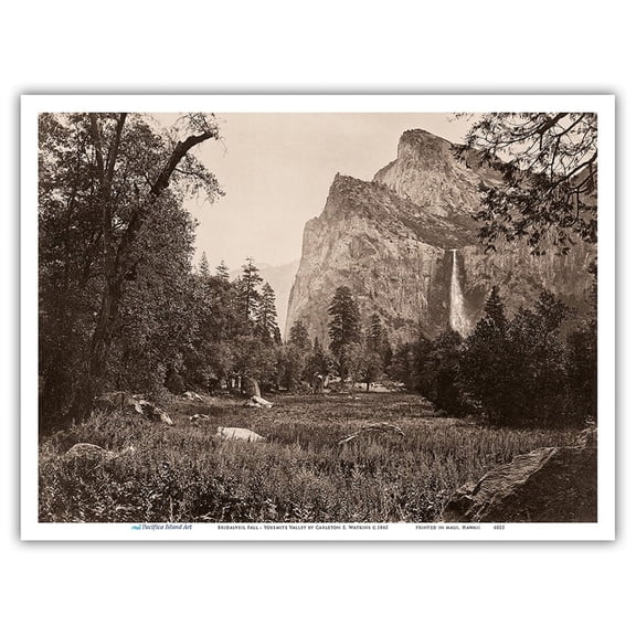Bridalveil Fall - Yosemite Valley California - Black and White Historic Photograph by Carleton E. Watkins c.1865 - Master Art Print (Unframed) 9in x 12in
