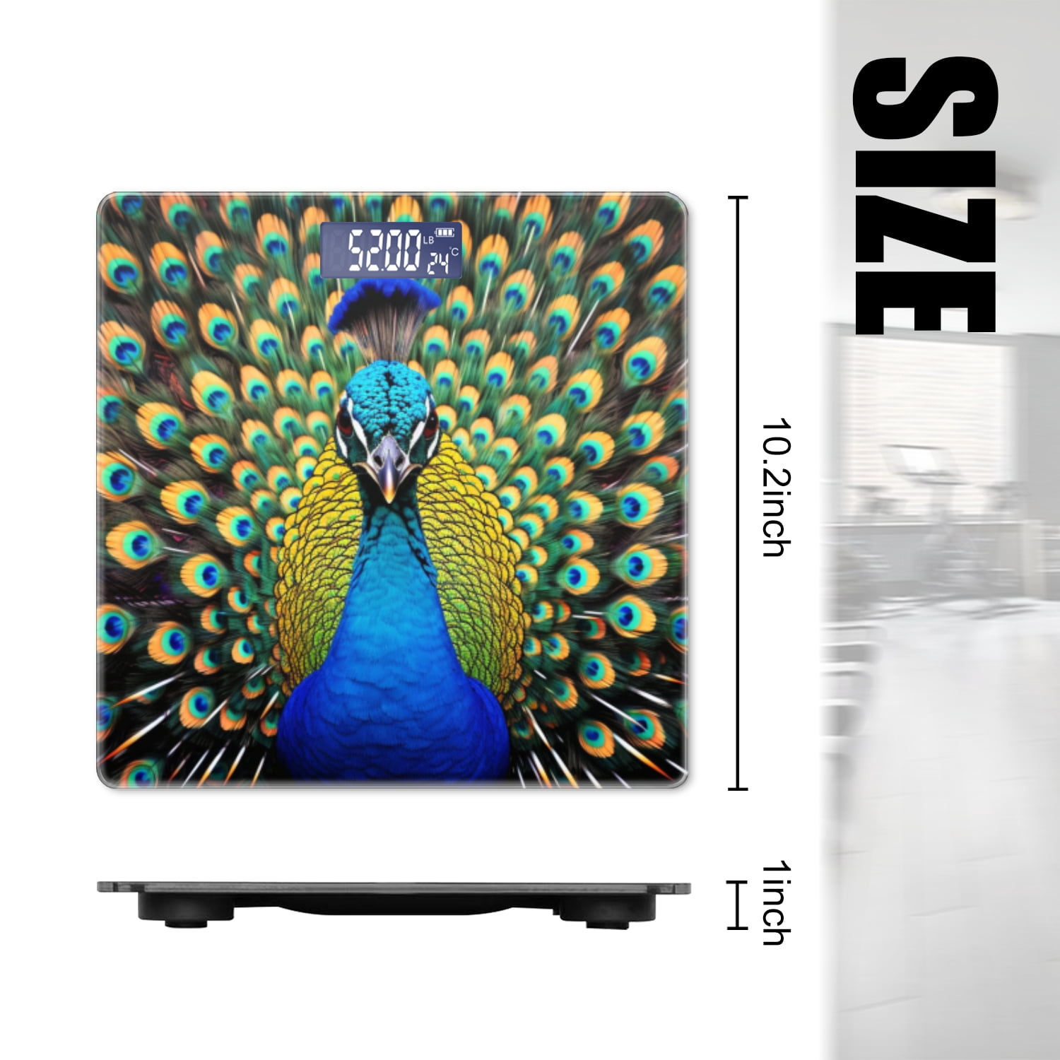Digital Bathroom Scale with Large LCD Display,High Capacity Scale 400 lbs High Precision body fat scale-Beautiful Peacock Displaying Colorful Feathers
