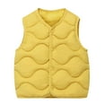 thumbnail image 2 of Girls Winter Coats Jackets for Girls Girls Down Vest for Kids Lightweight Warm Sleeveless Button Casual Fall Winter Clothes, 2 of 4