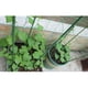 thumbnail image 3 of de Jardín de Jaula de Soporte de Escalada de Plantas s de 3x60 3 Anillos Macarena Marco de soporte para trepar enredaderas, 3 of 8
