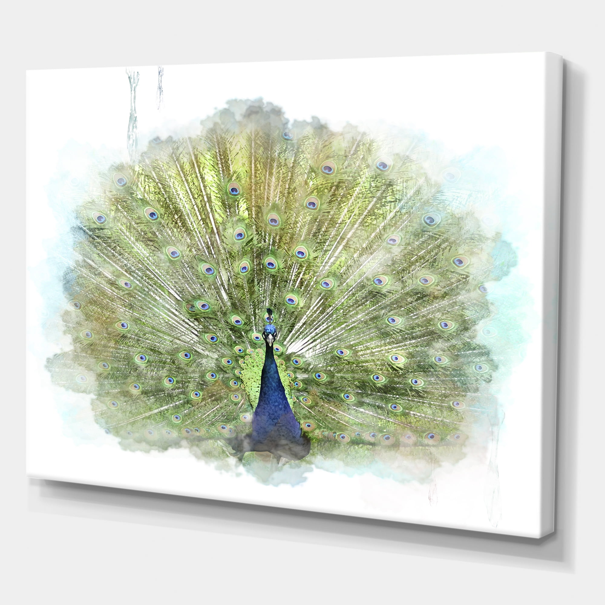 Designart ' Dancing Peacock Bird ' Traditional Canvas Wall Art Print