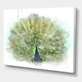 thumbnail image 3 of Designart ' Dancing Peacock Bird ' Traditional Canvas Wall Art Print, 3 of 4
