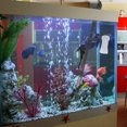 thumbnail image 4 of unbranded 1Jgo Limpiador Negro Automático Para Cambio De Y Limpieza De Peces En Acuario, 4 of 8