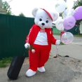 thumbnail image 3 of Disfraz de mascota de conejo de Pascua, disfraz de osito de peluche y conejo para cumpleaños, bodas, disfraces de cosplay, eventos de carnaval y Halloween, trajes de actuación, 3 of 5