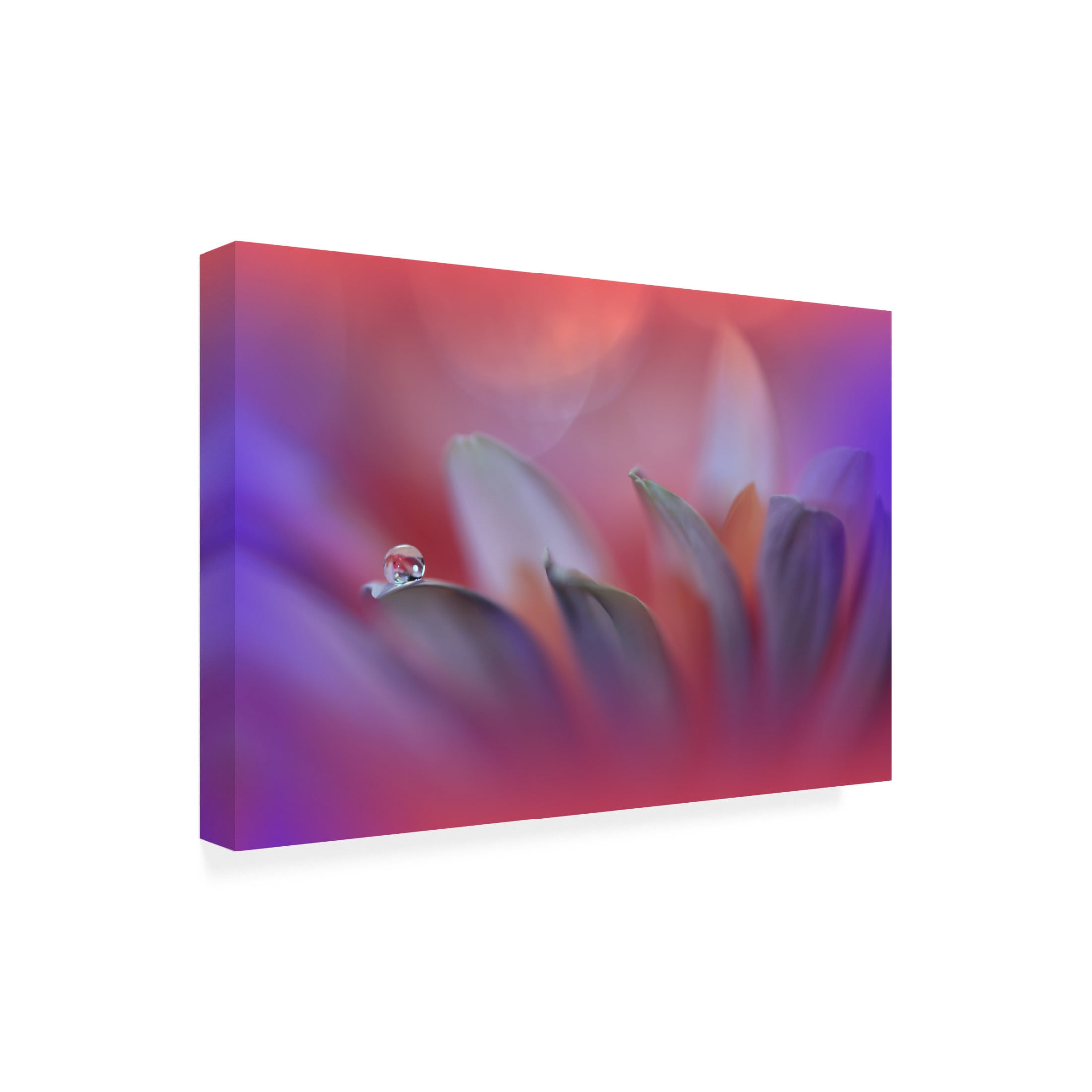 Trademark Fine Art Juliana Nan Blossoming Heart.. Canvas Wall Art