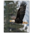 thumbnail image 1 of Picture-Tiles.com: Bird Ceramic Tile Wall Mural WAL500182-45M. 24"W x 30"H using (20) 6" x 6" Ceramic Tiles-Satin Finish, 1 of 3