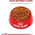 thumbnail image 2 of Royal Canin Breed Health Nutrition French Bulldog Puppy Dry Dog Food 10.5 lbs., 2 of 2