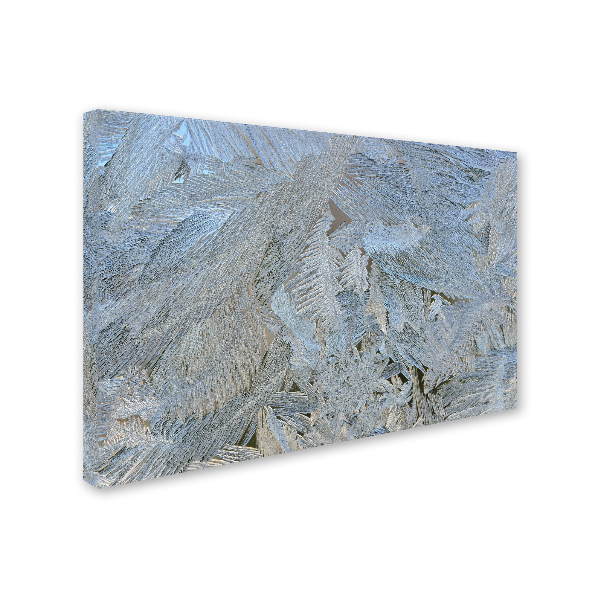 Trademark Fine Art "Frost Pattern #5" Canvas Art by Kurt Shaffer