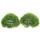 thumbnail image 1 of unbranded 2Ud Bola Topiario De Césped Falso Verde Para De Y Espacios Interiores Y Exteriores, 1 of 6
