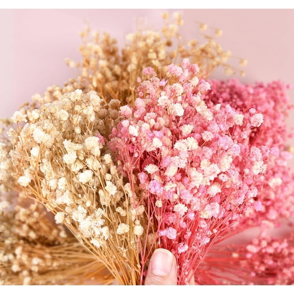 2000 Dried Babys Breath Flowers Bouquet,Bexikou Pink White Babys Breath Flower, Natural Gypsophila Flowers Branches for Wedding, Floral Arrangement, Vase Decor,DIY Wreath Floral