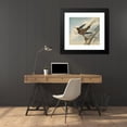 thumbnail image 4 of James Sowerby 22x20 Black Modern Framed Museum Art Print Titled - Bird of Paradise, 4 of 5
