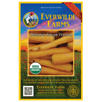 Everwilde Farms - 500 Organic Solar Yellow Carrot Seeds - Gold Vault Jumbo Bulk Seed Packet