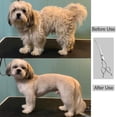 thumbnail image 4 of Curved Dog Grooming Scissors, Japanese Stainless Steel Pet Shear with Adjustable and Silencer Design, Comfortable Handle for Reduced Hand Fatigue, Right Handed (7 Inch), 4 of 4