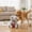 gray, variant on NCQ 3T GROUP Puppy Heartbeat Toy for Dogs Sleep Aid Stuffed Animal with Heartbeat Toy for Puppy Essentials Pet Pillow Anxiety Relief Calming Toy(Yellow)