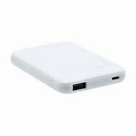 3000 mAh USB & USB-C TM Power Bank