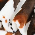 thumbnail image 3 of Cow Print Throw Blanket, Super Soft Flannel Cozy Cow Blankets for Adults, Lightweight Fuzzy Cow Blankets for Couch Sofa Bed Office, Throw Size Warm Plush Blankets for All Season 60"x50", Black Brown, 3 of 6