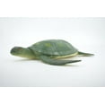 thumbnail image 4 of Sea Turtle, Plastic Turtle Design, Reptile,  Hand Painted, Realistic, Figure, Educational, Lifelike, Model, Figurine, Replica, Toy, Kids,  Gift,        8"      F215 B369, 4 of 9