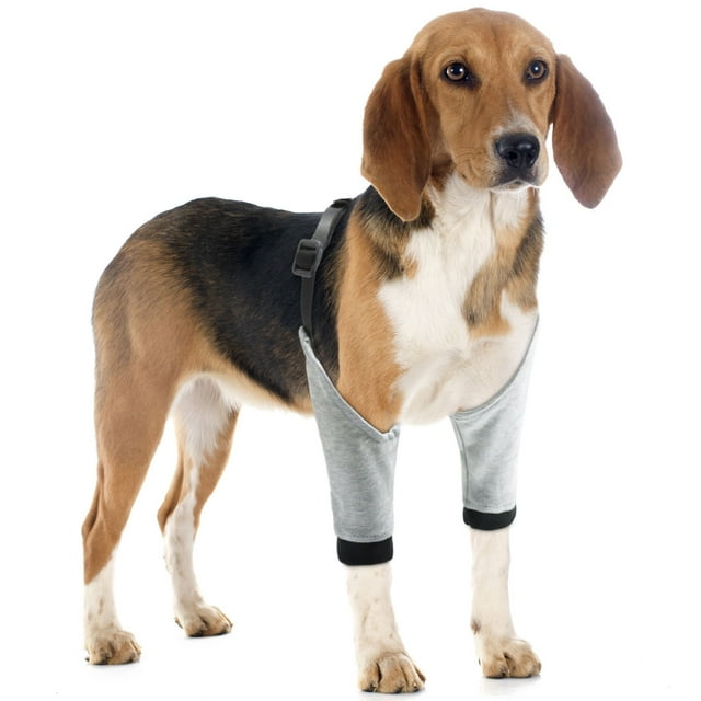 Dog Elbow Protector Recovery Sleeve Joint Support Wrap Pet Leg Knee Brace Pad Calluses Grey S L POST SURGERY