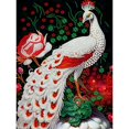 thumbnail image 1 of (YX101) Serie Pavo Real Con Diamantes Parciales Pintura Resina Con Forma Especial Diamantes 30x40CM, 1 of 9