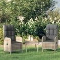 thumbnail image 1 of vidaXL Outdoor Chairs 2 pcs Poly Rattan Grey, 1 of 5