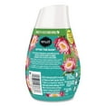 thumbnail image 6 of 7 oz Solid Adjustables Air Freshener - After the Rain Scent (12/Carton), 6 of 6