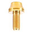 thumbnail image 4 of M5x12mm Botella de Agua Perno Tornillo Rack Socket Mountain cup Parte , Oro DYNWAVEMX Tornillo portabidón Bike Waters, 4 of 6