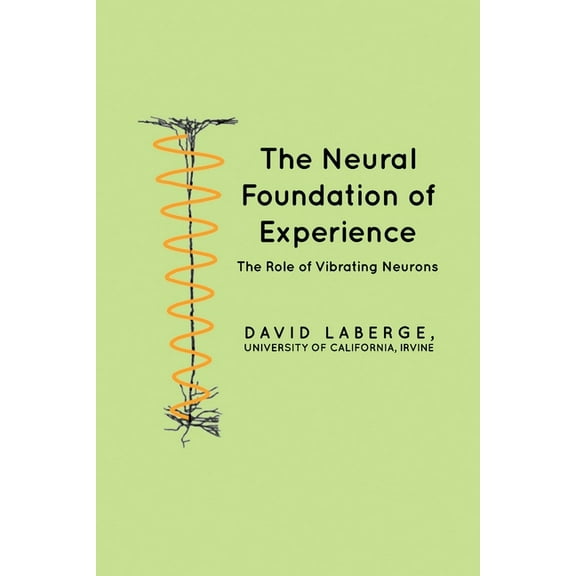 The Neural Foundation of Experience (Paperback)