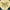 Red/Yellow, variant on SAFAVIEH Blossom Cantor Floral Area Rug, Ivory/Green, 8' x 10'