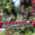 thumbnail image 4 of Perky-Pet 2 ft Hummerbar Hummingbird Feeder, 4 of 9