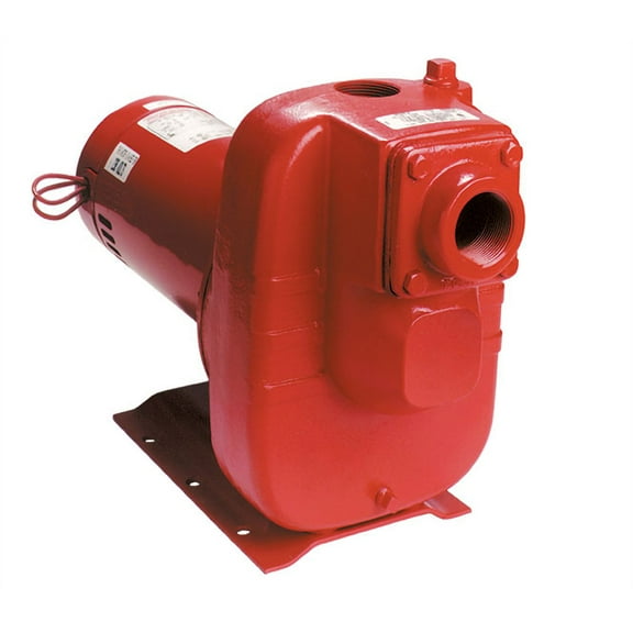 Red Lion 3 Hp Self Priming Sprinkler Pump
