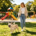 thumbnail image 4 of Breathable No-Pull Dog Harness and Leash Set for Small Medium Large Dogs Multi-Point Adjustable Metal D-Ring Bubble Cotton Padded Saddle Vest for Training Walking, 4 of 4