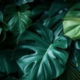 thumbnail image 6 of PIKWEEK Waterproof Round Tablecloth Palm Leaves with Lush Branches and Leaves Tropical Jungle Palm Leaves with Charming Colors White, 6 of 8