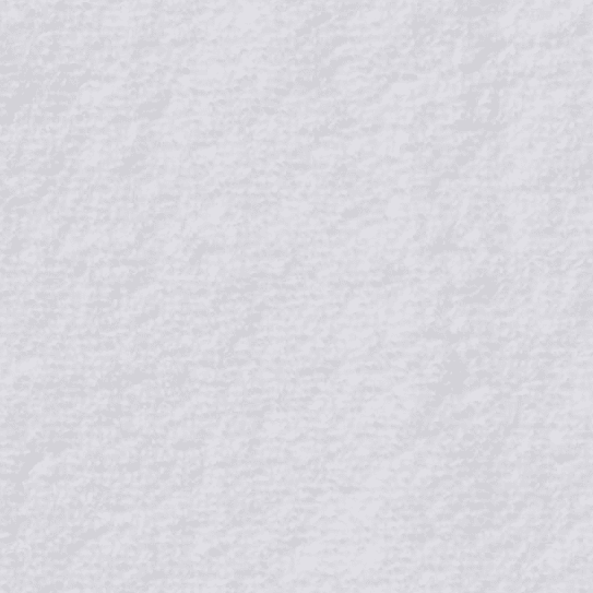 Arctic White