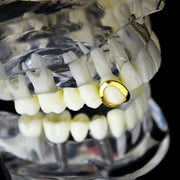 14k Gold Plated Open Face Grillz Single Cap Top Hollow K9 Canine Tooth Hip Hop Grills